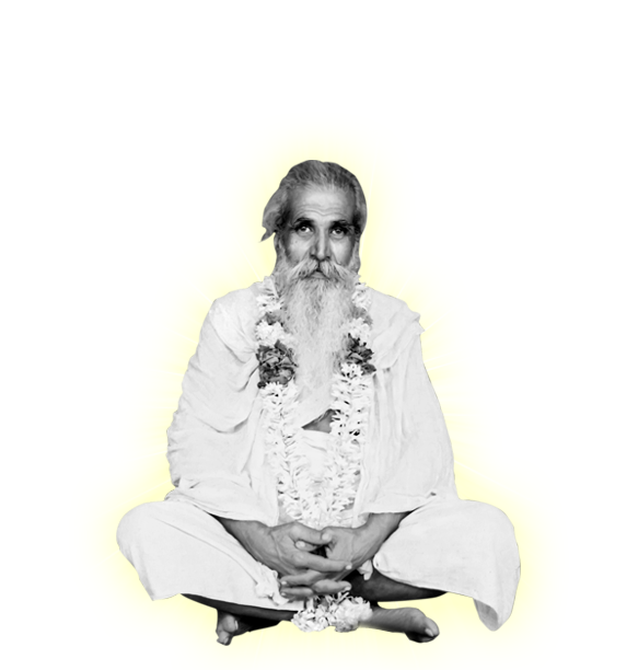 స్వామిజీ